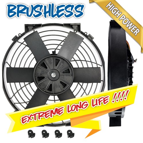 Brushless 10