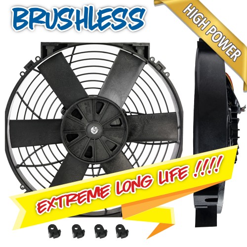 Brushless 12