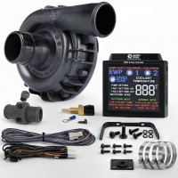 8930 (9-April-26).jpg